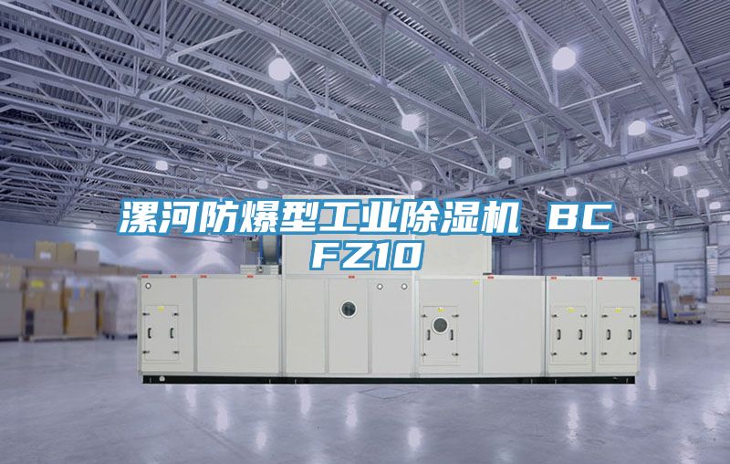 漯河防爆型工業香蕉视频国产 BCFZ10