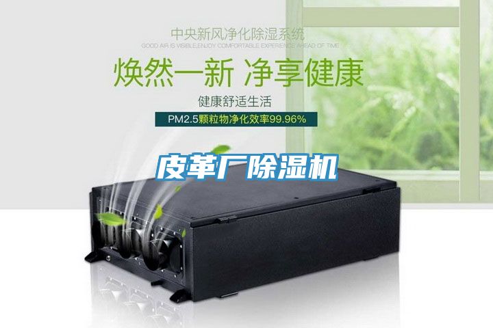 皮革廠香蕉视频国产