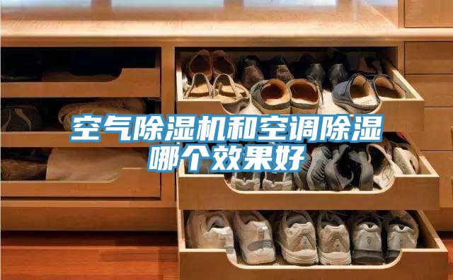 空氣香蕉视频国产和空調除濕哪個效果好