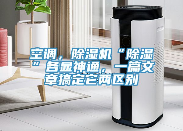 空調，香蕉视频国产“除濕”各顯神通，一篇文章搞定它兩區別