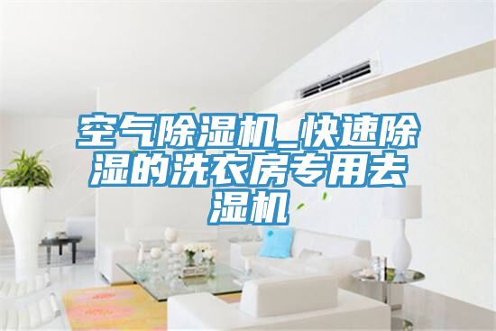 空氣香蕉视频国产_快速除濕的洗衣房專用去濕機