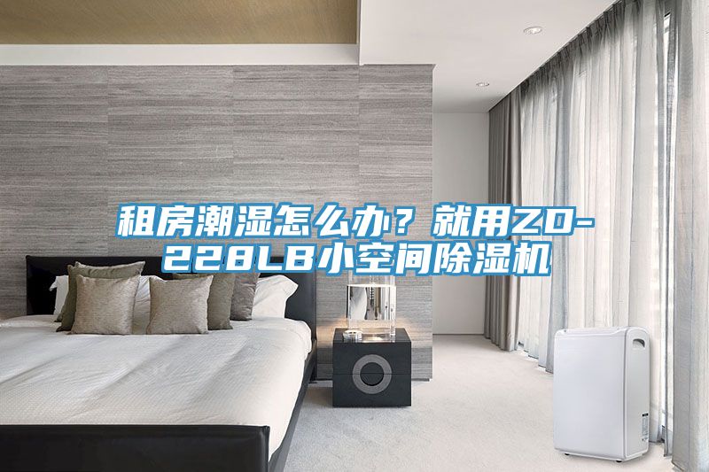 租房潮濕怎麽辦？就用ZD-228LB小空間香蕉视频国产