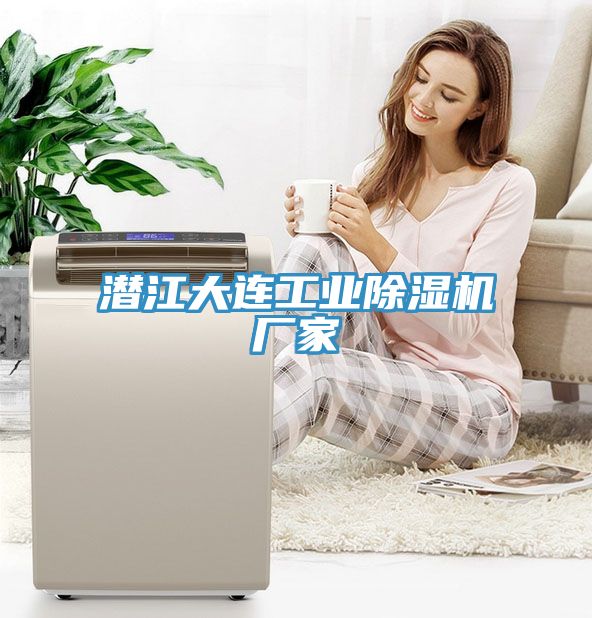 潛江大連工業香蕉视频国产廠家