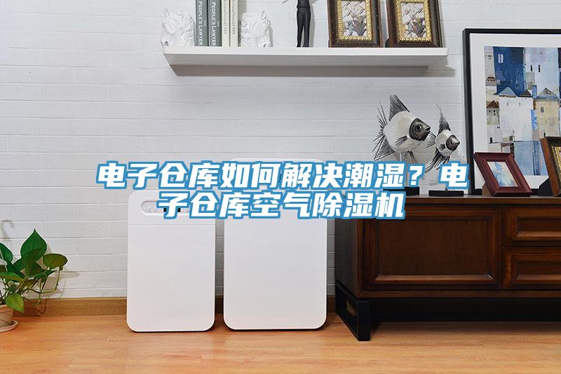 電子倉庫如何解決潮濕？電子倉庫空氣香蕉视频国产