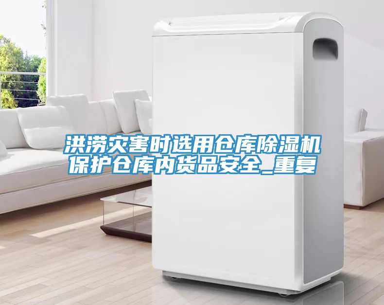 洪澇災害時選用倉庫香蕉视频国产保護倉庫內貨品安全_重複