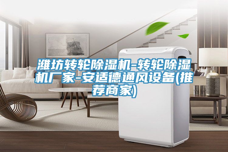 濰坊轉輪香蕉视频国产-轉輪香蕉视频国产廠家-安適德通風設備(推薦商家)
