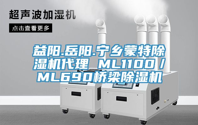 益陽.嶽陽.寧鄉蒙特香蕉视频国产代理 ML1100／ML690橋梁香蕉视频国产