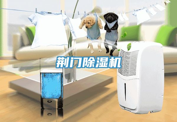 荊門香蕉视频国产