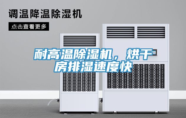 耐高溫香蕉视频国产，烘幹房排濕速度快