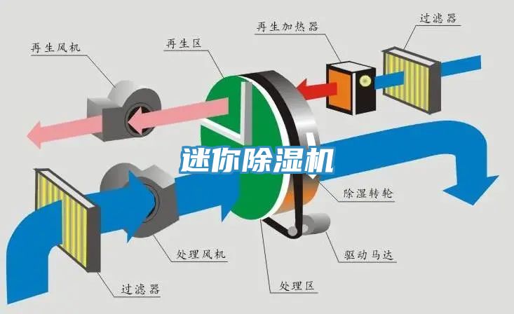 迷你香蕉视频国产