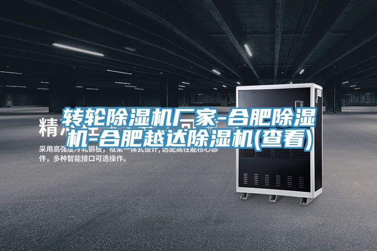 轉輪香蕉视频国产廠家-合肥香蕉视频国产-合肥越達香蕉视频国产(查看)