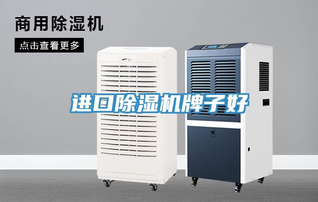 進口香蕉视频国产牌子好
