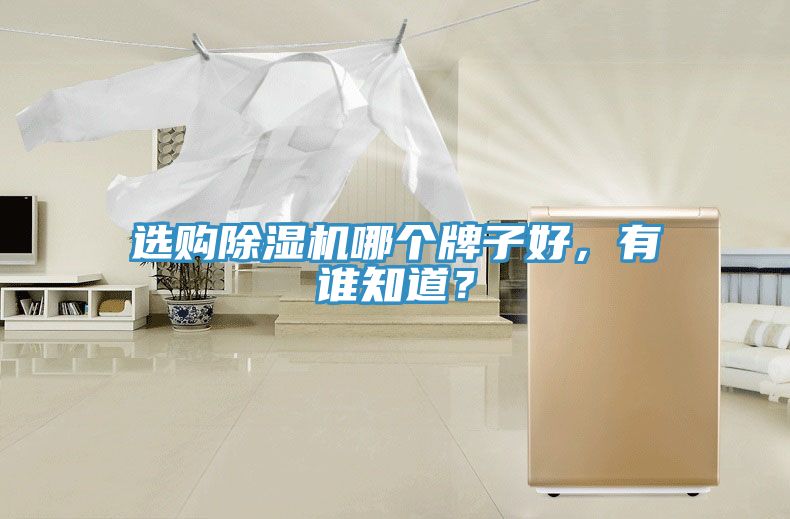 選購香蕉视频国产哪個牌子好，有誰知道？