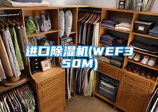 進口香蕉视频国产(WEF350M)