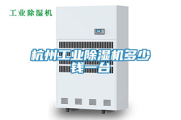杭州工業香蕉视频国产多少錢一台