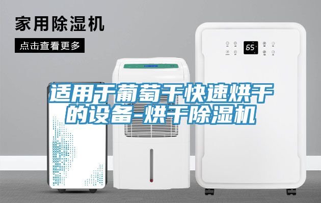 適用於葡萄幹快速烘幹的設備-烘幹香蕉视频国产