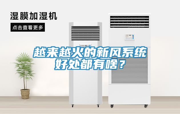 越來越火的新風係統好處都有啥？