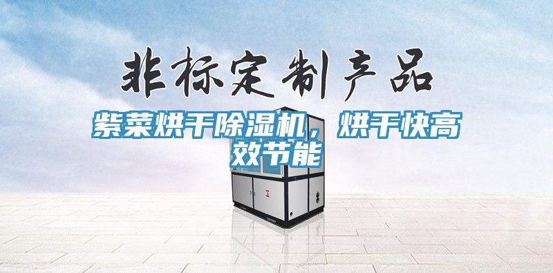 紫菜烘幹香蕉视频国产，烘幹快高效節能