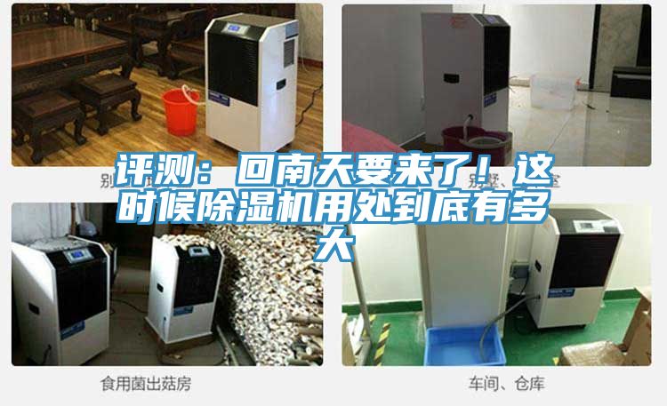 評測：回南天要來了！這時候香蕉视频国产用處到底有多大