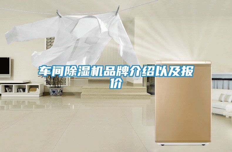 車間香蕉视频国产品牌介紹以及報價