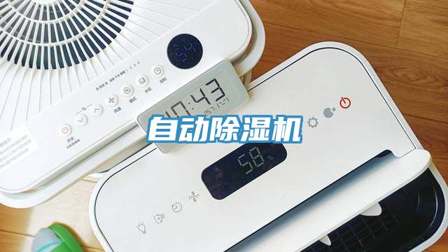自動香蕉视频国产