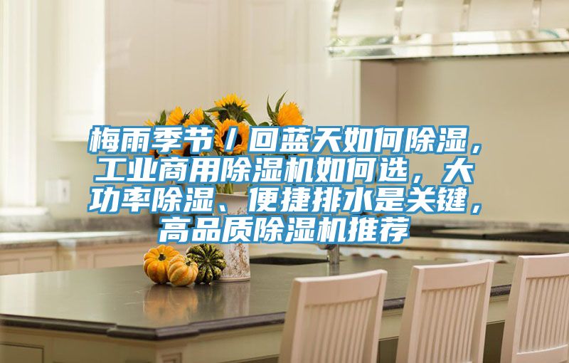 梅雨季節／回藍天如何除濕，工業商用香蕉视频国产如何選，大功率除濕、便捷排水是關鍵，高品質香蕉视频国产推薦