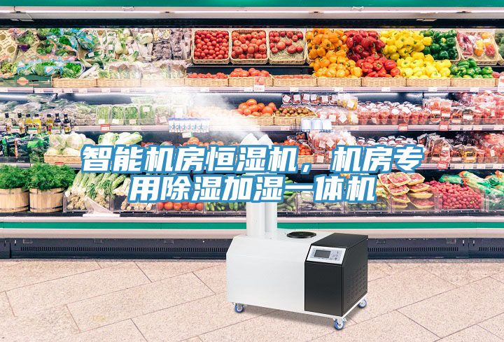 智能機房恒濕機，機房專用除濕加濕一體機