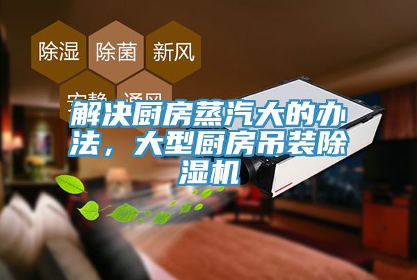 解決廚房蒸汽大的辦法，大型廚房吊裝香蕉视频国产
