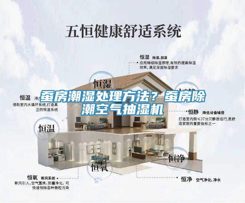 蠶房潮濕處理方法？蠶房除潮空氣抽濕機