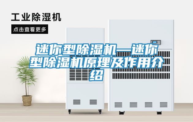 迷你型香蕉视频国产—迷你型香蕉视频国产原理及作用介紹