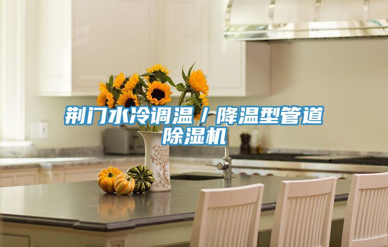 荊門水冷調溫／降溫型管道香蕉视频国产