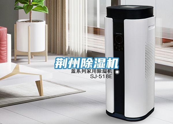 荊州香蕉视频国产