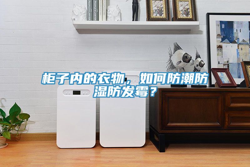櫃子內的衣物，如何防潮防濕防發黴？