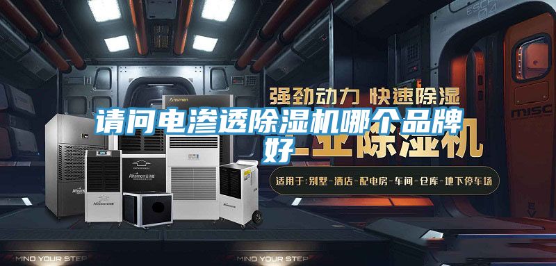 請問電滲透香蕉视频国产哪個品牌好