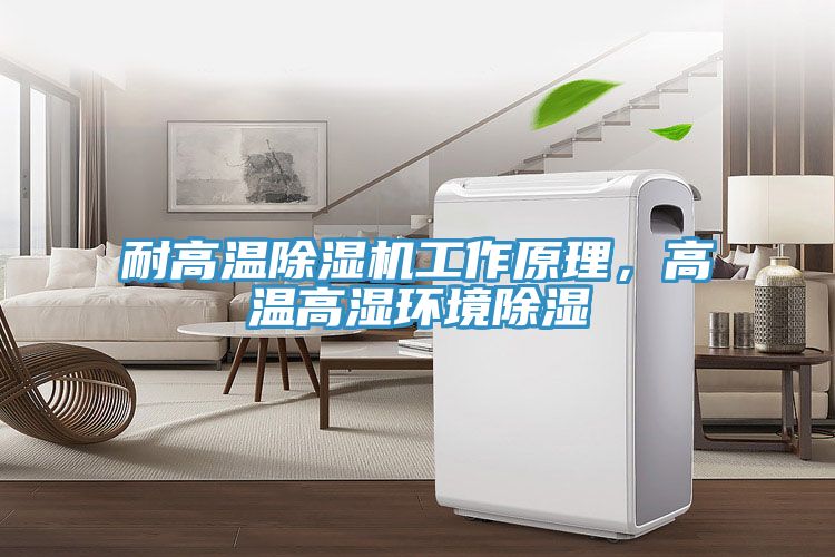 耐高溫香蕉视频国产工作原理，高溫高濕環境除濕