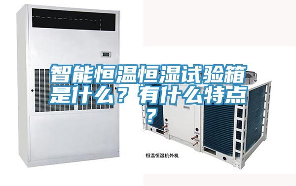 智能恒溫恒濕試驗箱是什麽？有什麽特點？