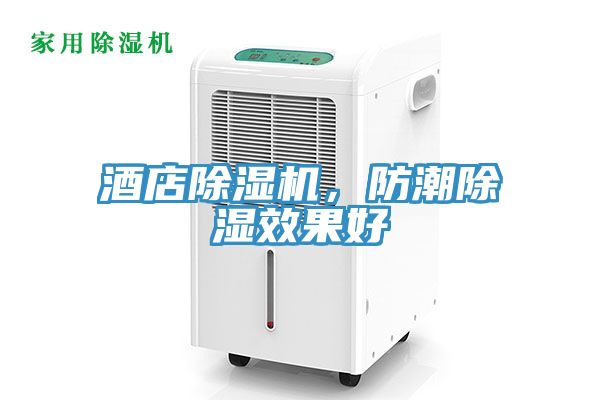 酒店香蕉视频国产，防潮除濕效果好