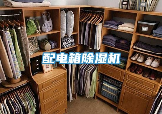 配電箱香蕉视频国产