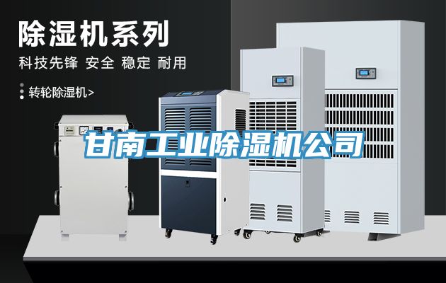 甘南工業香蕉视频国产公司