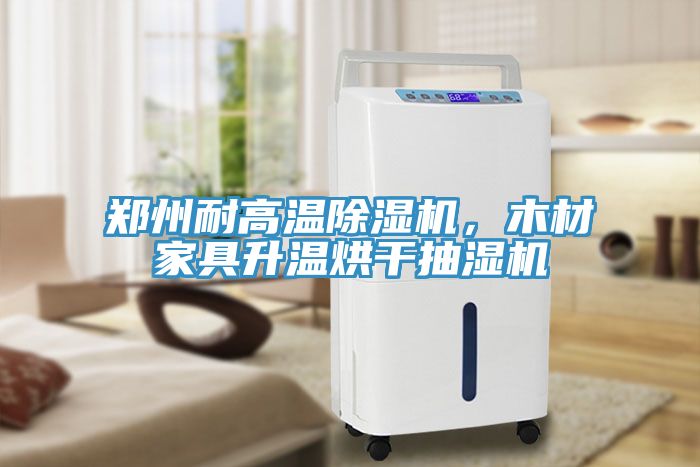 鄭州耐高溫香蕉视频国产，木材家具升溫烘幹抽濕機