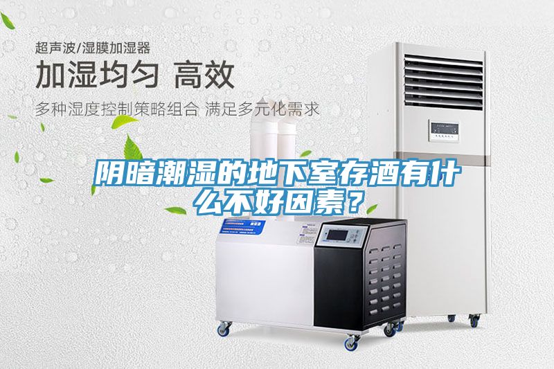 陰暗潮濕的地下室存酒有什麽不好因素？