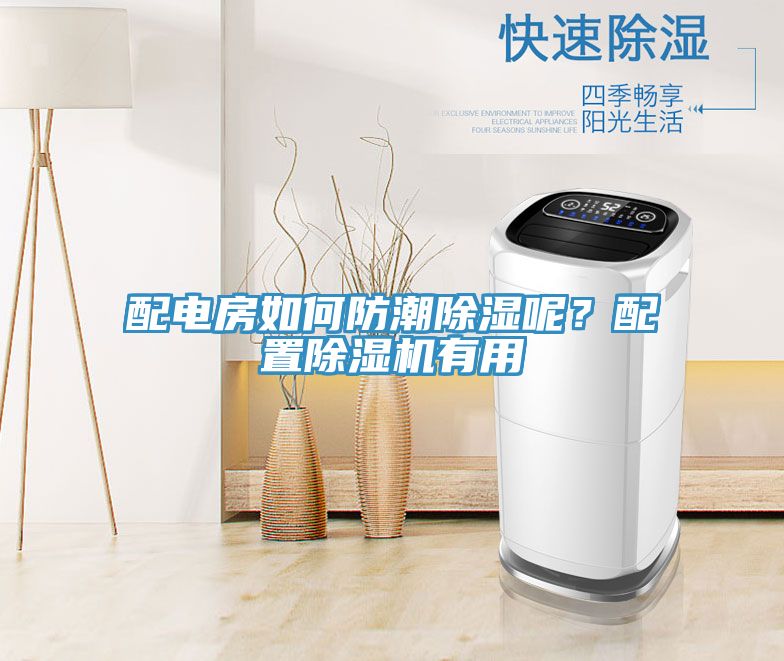 配電房如何防潮除濕呢？配置香蕉视频国产有用