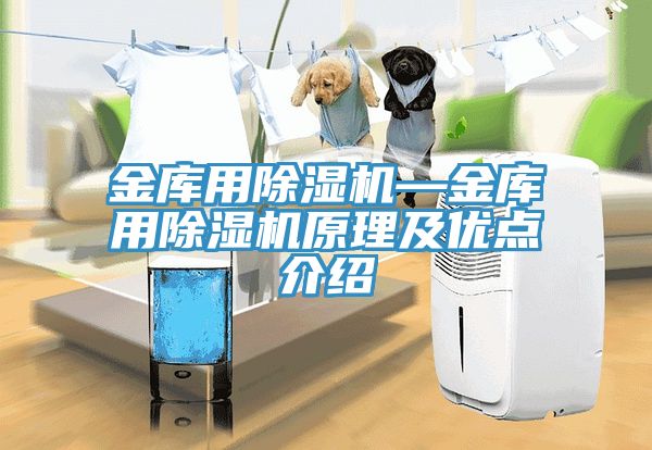 金庫用香蕉视频国产—金庫用香蕉视频国产原理及優點介紹
