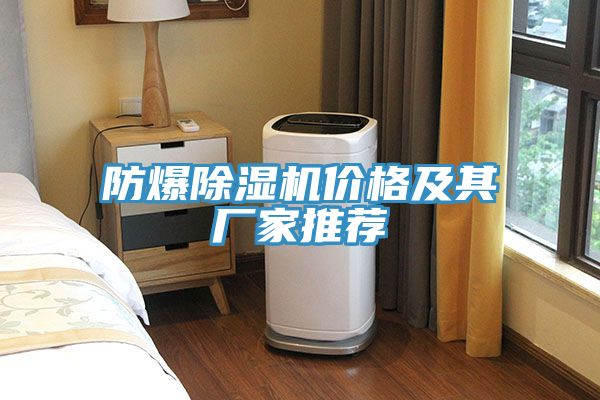 防爆香蕉视频国产價格及其廠家推薦