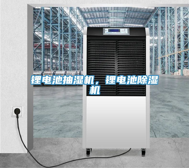 鋰電池抽濕機，鋰電池香蕉视频国产