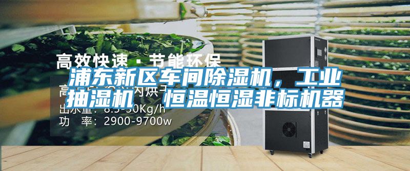 浦東新區車間香蕉视频国产，工業抽濕機  恒溫恒濕非標機器
