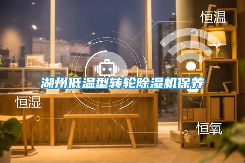 湖州低溫型轉輪香蕉视频国产保養