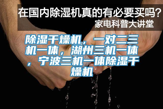 除濕幹燥機，一對二三機一體，湖州三機一體，寧波三機一體除濕幹燥機