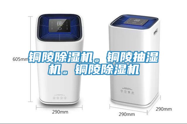 銅陵香蕉视频国产。銅陵抽濕機。銅陵香蕉视频国产