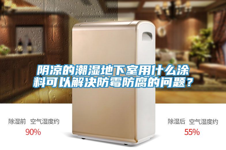 陰涼的潮濕地下室用什麽塗料可以解決防黴防腐的問題？